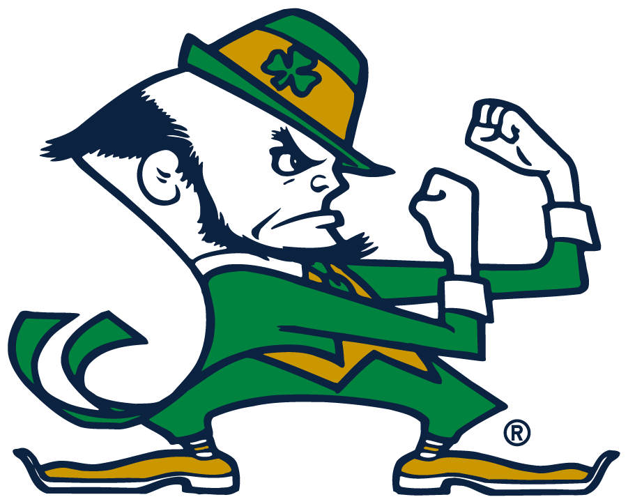 Notre Dame Fighting Irish 2015-Pres Secondary Logo v6 iron on transfers for T-shirts